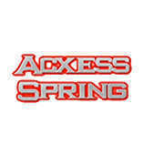 Old Acxess Spring Logo