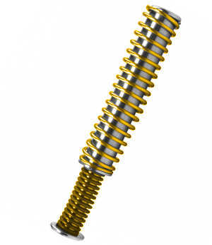recoil spring around recoil rod